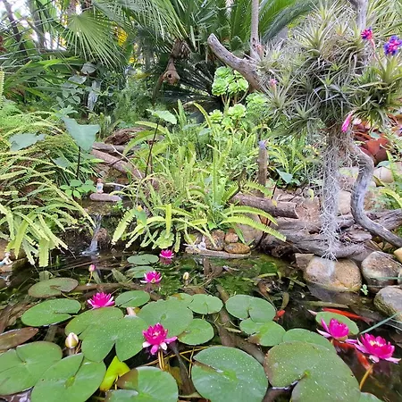 Veles Апарт-отель Канны