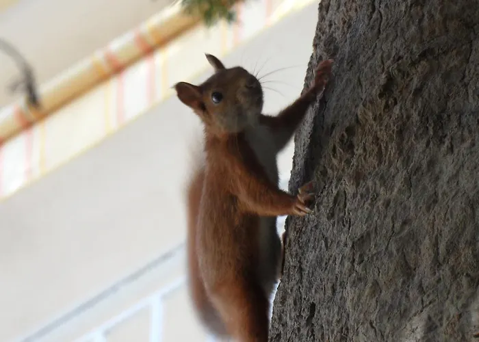 Lejlighedshotel Veles 4*