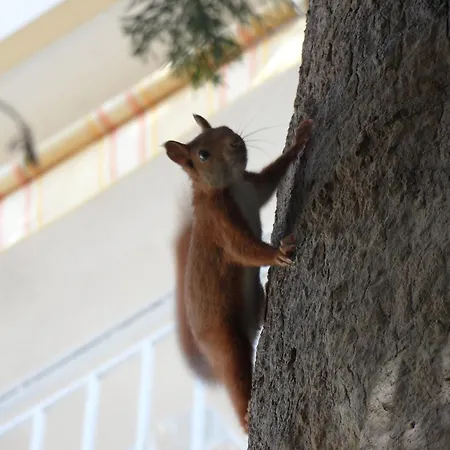 Apart-hotel Veles 4*